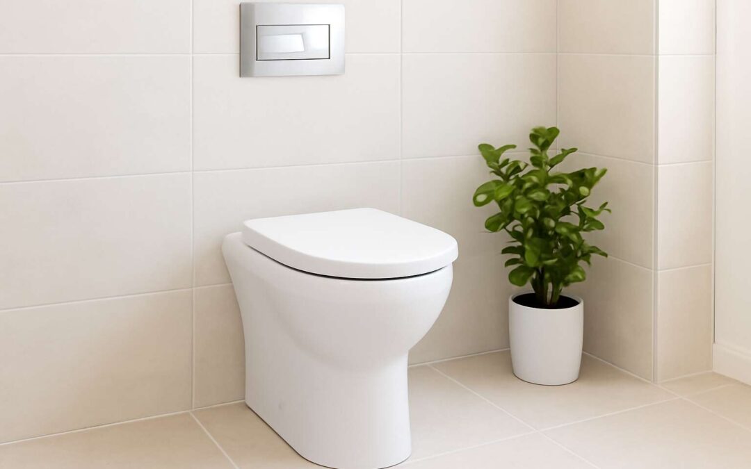 Upgrade Your Bathroom with water saving flush toilet and cut your bills