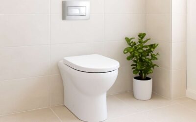 Upgrade Your Bathroom with water saving flush toilet and cut your bills